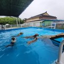 하이멍뭉 이미지