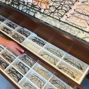 눈을맞추다노형점 이미지