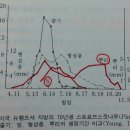 ★뿌리의 생장 & 수목이식시기 이미지