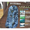 장미란체육관 이미지