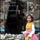 무이농장 이미지