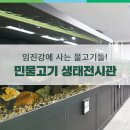 연천 가볼 만한 곳, 임진강의 어류를 만나는 민물고기 생태전시관