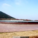 하늘연못 이미지