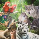 덴바스타호텔 이미지