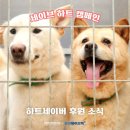 세이브 바이오텍