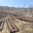 양대박전승지 이미지