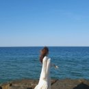 금송아지목장 이미지