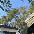 [내돈내산] 진주 애견동반 캠핑은 여기! &#34;청춘별곡&#34; 방문 후기, 장단점 (A1사이트)