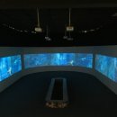 신세계기획 이미지