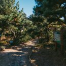 이마트24 동구동산점 | 울산 아이와 가볼만한 곳｜울산테마식물수목원 동물생태관 후기 (겨울에도 볼거리 가득)