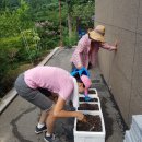 선우정경로당 이미지