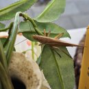 효영농장 이미지