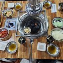 은행나무 갈매기 이미지