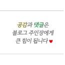 쓰기로 표현력 키우기(초3) 이미지