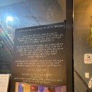 힐링이 있는 거리공연 | 을지로 술집 거리 내돈내산 맛집 추천 라이브 공연 바 와인 행2pm8pm