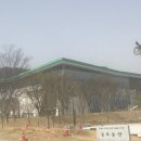 박정희로-6 이미지