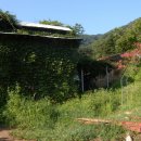 칠선농장 이미지