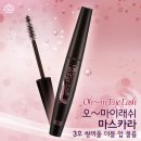 더블래쉬 네이버블로그