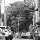 도도킹코리아 이미지