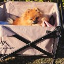 한강세탁 | 한강 벚꽃 피크닉 감성 데이트 노블 피크닉 추천