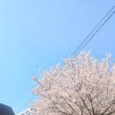 삼랑진농협 하나로마트 이미지