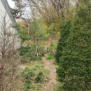 계양산 누리길 이미지