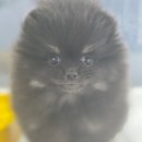 멍앤멍스 이미지