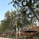 돌머리해수욕장 종합안내소 이미지