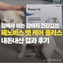 저스트벳 동물병원 | 페노비스 벳 케어 플러스 내돈내산 후기, 털로 하는 강아지 건강검진 결과 공개