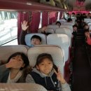 용인대 현대 태권도 이미지