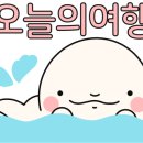 성진여행사