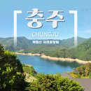 계명산자연휴양림 | 충북 충주 / 충주호를 품은 계명산자연휴양림 산수유 객실 후기