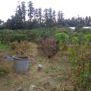 토산리마을회관 이미지