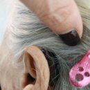 굿모닝보청기 이미지