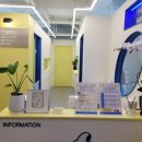 브라이튼독 이미지