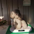 시화파출소 이미지