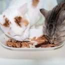 (주)포파코 이미지