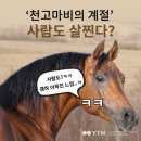 영산로 75번길 7 이미지