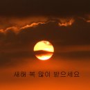거목조경개발 이미지