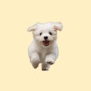 행복을 배우는 공간 이미지