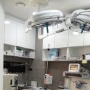 아람동물병원 이미지