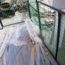 순조농장 이미지