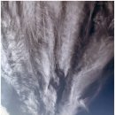 약사고개길 R | 마그네슘 섭취시간 부족 했기에 확인