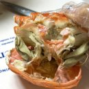 광성 | 속초 홍게 맛집 추천 홍게무한리필 광성홍게장군 택배 포장 후기