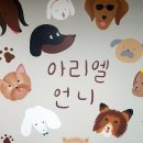 아리엘언니 네이버블로그