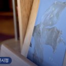 행복다방 이미지