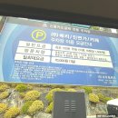 지에스25천안두정고점 | 천안 베리웨딩컨벤션 셔틀버스 주차 정보 후기