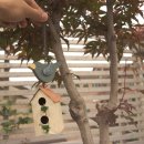 자연이야기 이미지