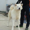 카미 이미지