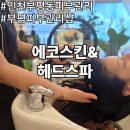 디톡스 | 인천부평동피부관리 부평구피부관리샵 에코스킨&amp;헤드스파 두피 디톡스 후기